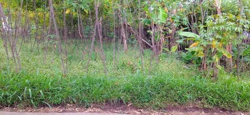 dijual tanah cocok untuk investasi dll