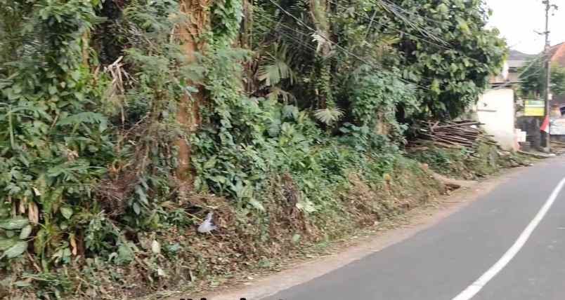 dijual tanah desa bajera selemadeg