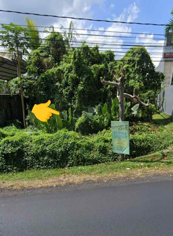 dijual tanah desa bantas kec selemadeg