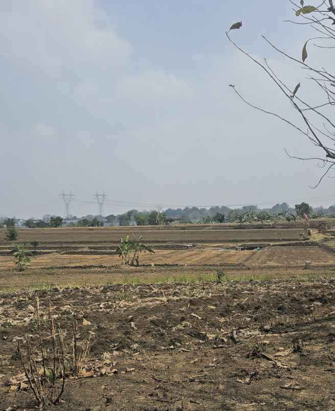 dijual tanah desa slempit kec kedamean