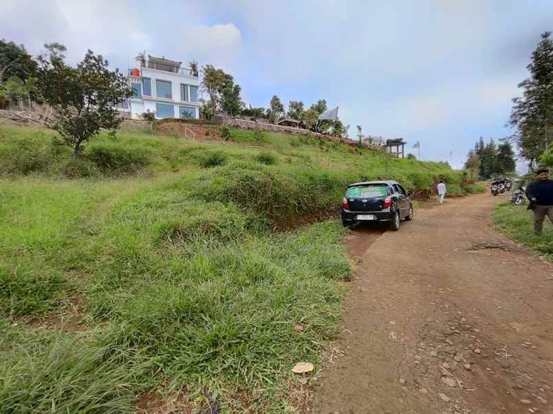 dijual tanah desa tajur halang cijeruk