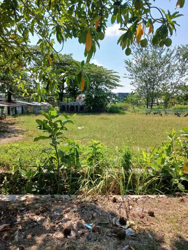 dijual tanah di dinar asri meteseh tembalang semarang