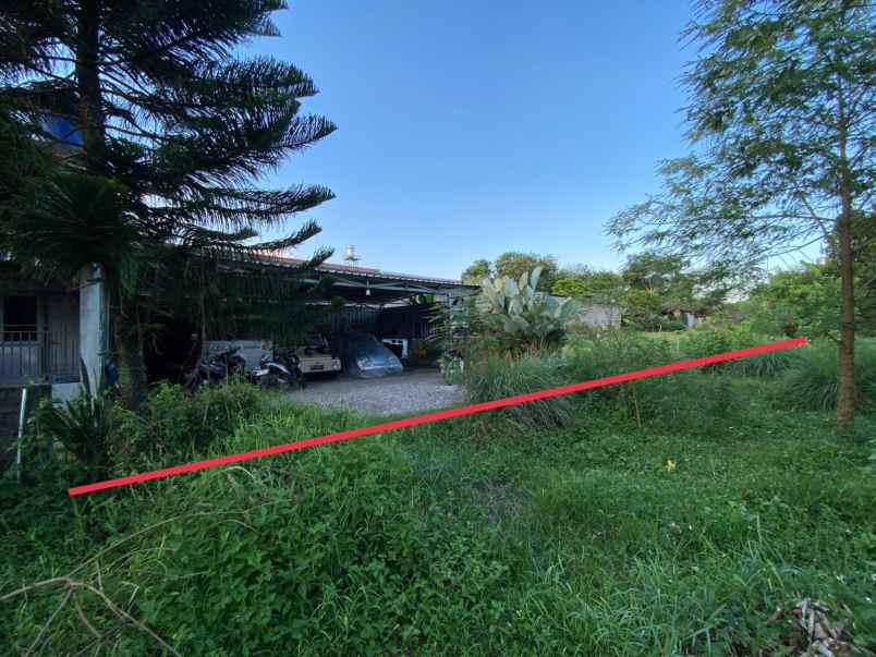 dijual tanah di sendangadi kab sleman