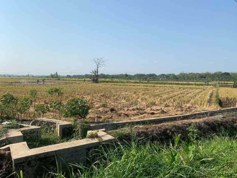 dijual tanah dijual tanah di pinggir