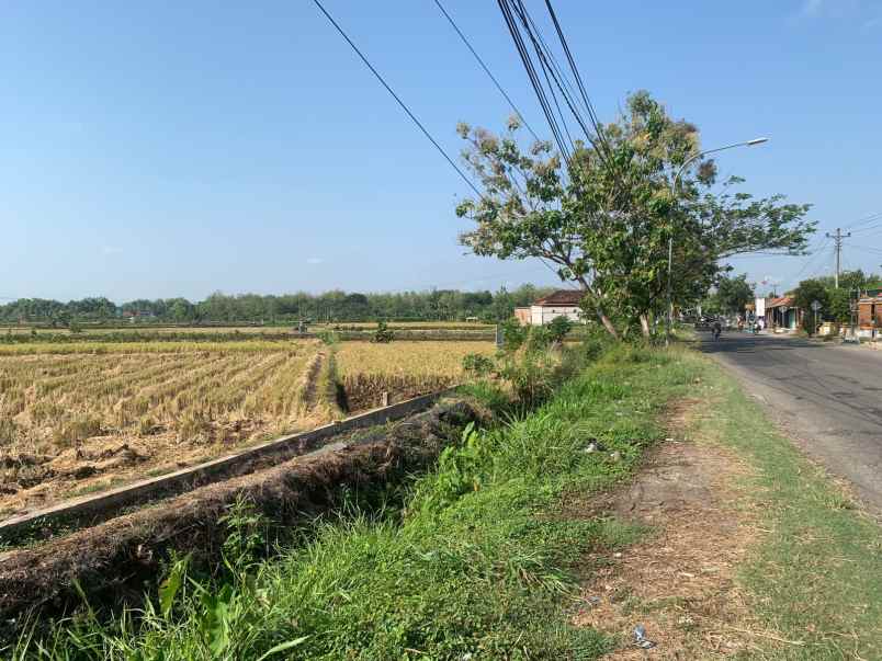 dijual tanah dijual tanah di pinggir