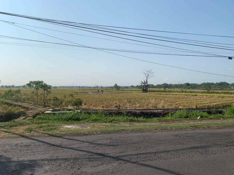 dijual tanah dijual tanah di pinggir