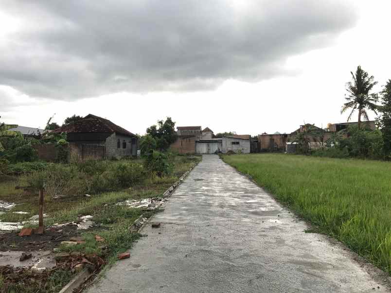 dijual tanah gading wetan belang wetan