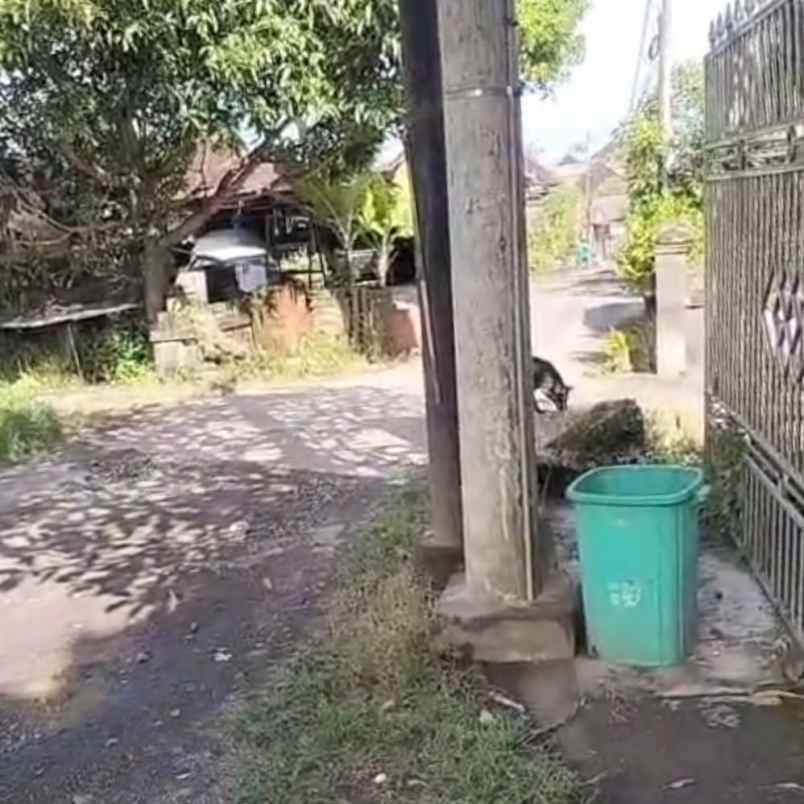 dijual tanah gandamayu pemaron