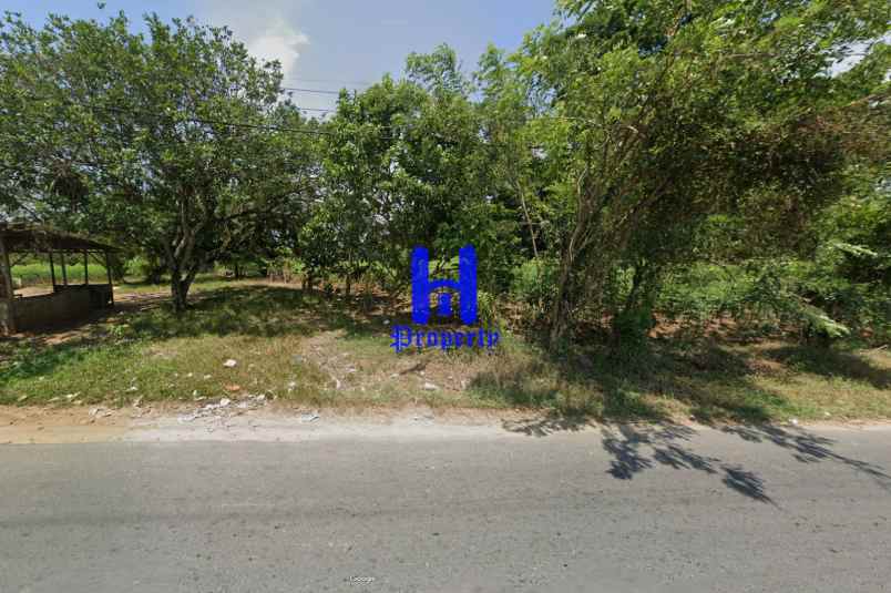 dijual tanah jalan bandar labuhan