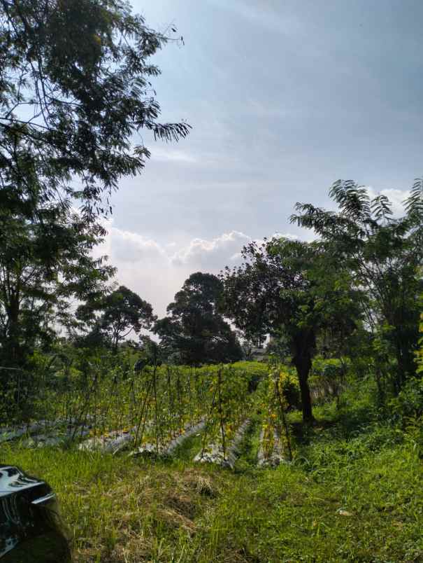 dijual tanah jalan terobosan gunung