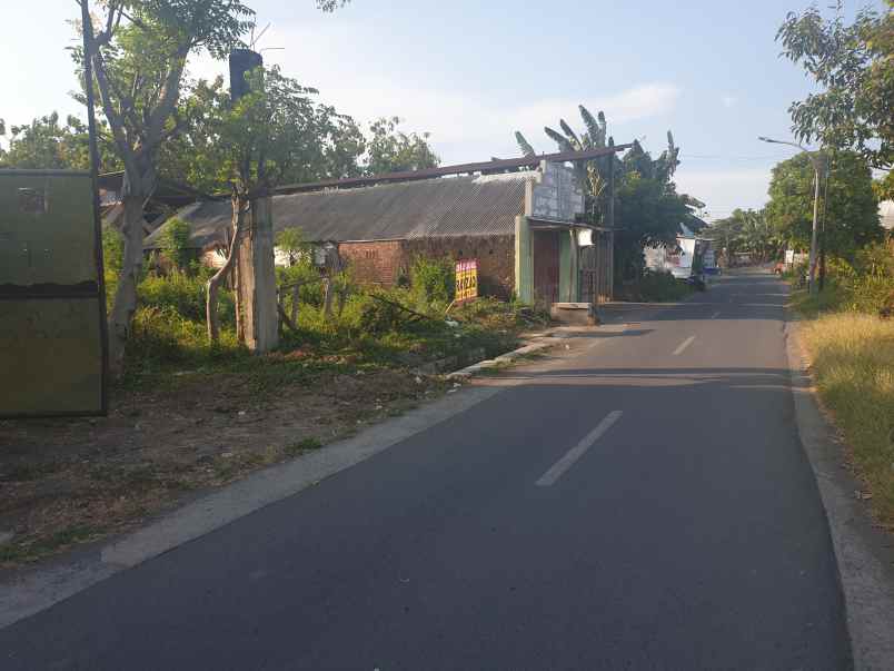 dijual tanah jalan teuku umar pasuruan