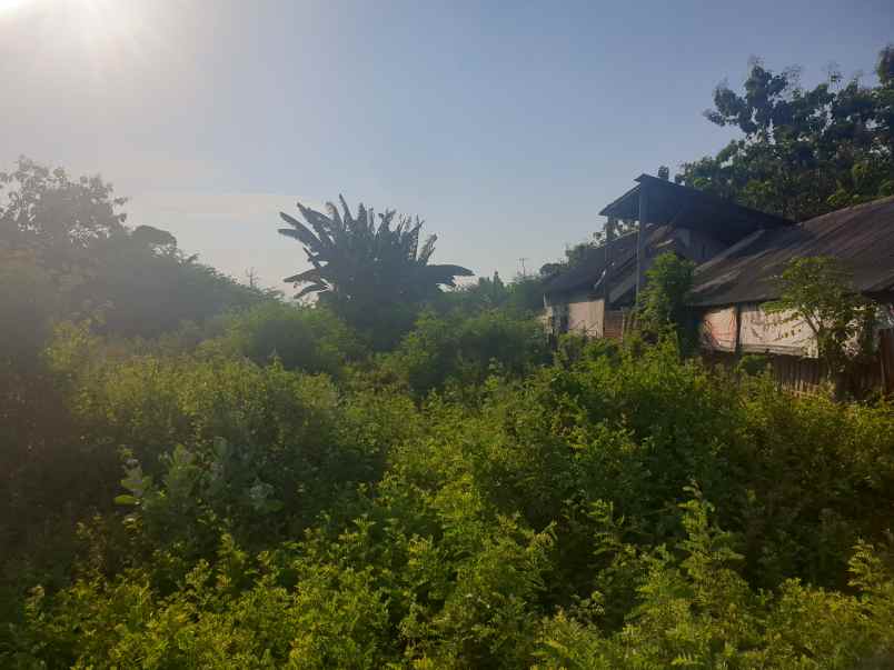 dijual tanah jalan teuku umar pasuruan