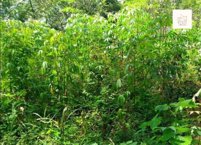 dijual tanah jl nagreg