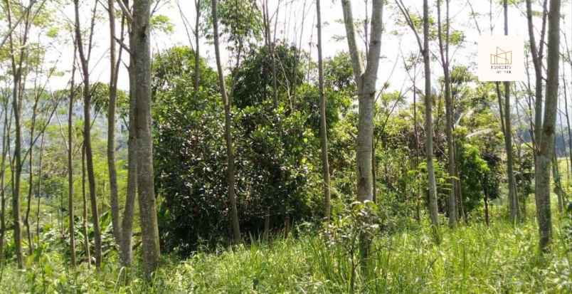 dijual tanah jl nagreg