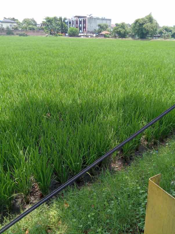 dijual tanah jl soekarno hatta