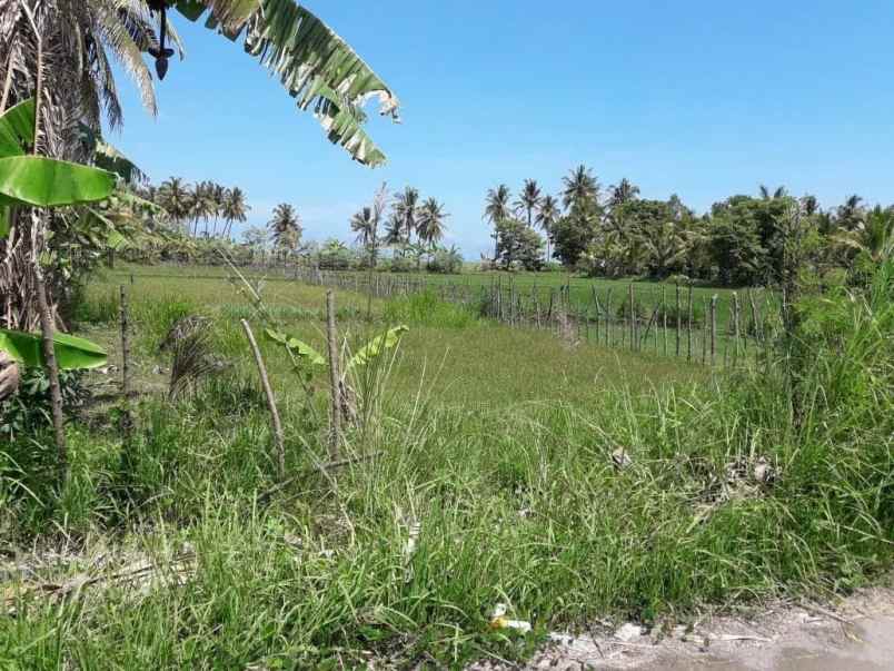 dijual tanah jln muara putat pemenang