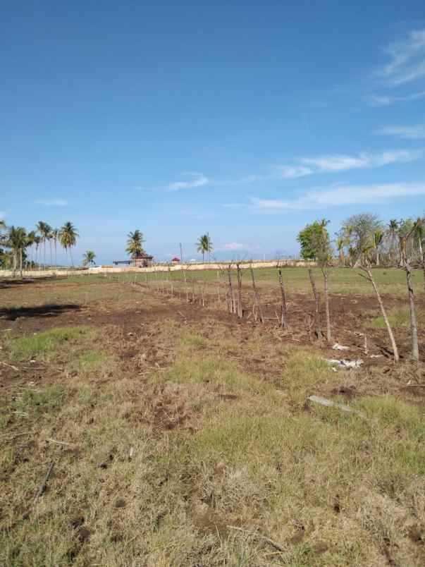 dijual tanah jln muara putat pemenang