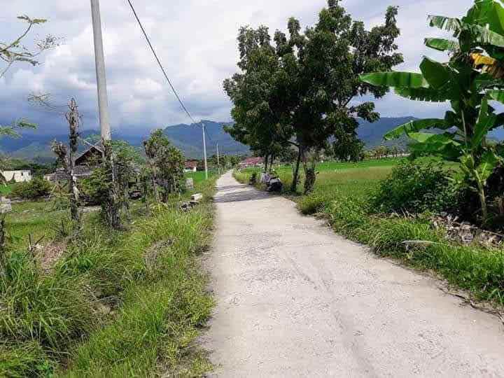 dijual tanah jln muara putat pemenang