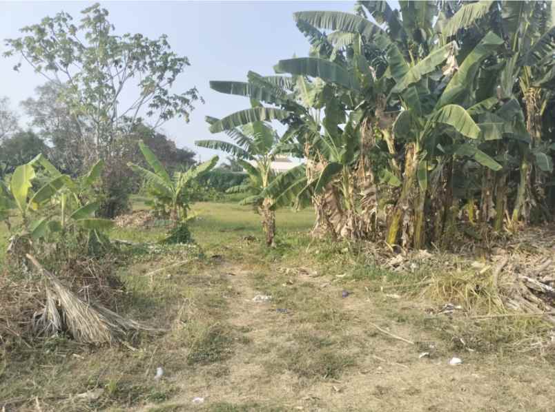 dijual tanah kalibata pancoran jakarta