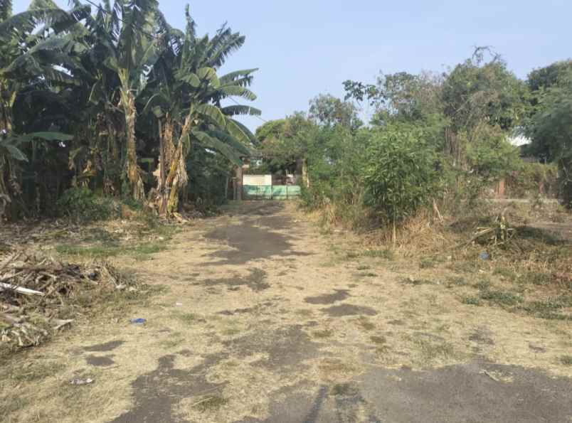 dijual tanah kalibata pancoran jakarta