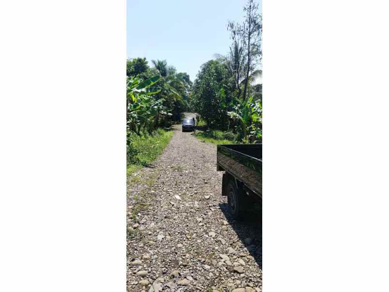 dijual tanah kampung cibadak tanjung