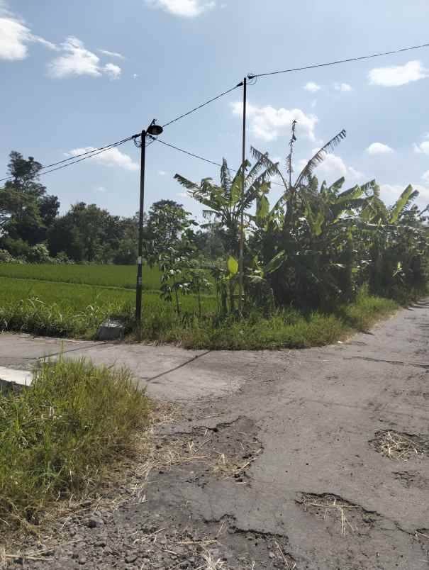 dijual tanah kebondalem madurejo