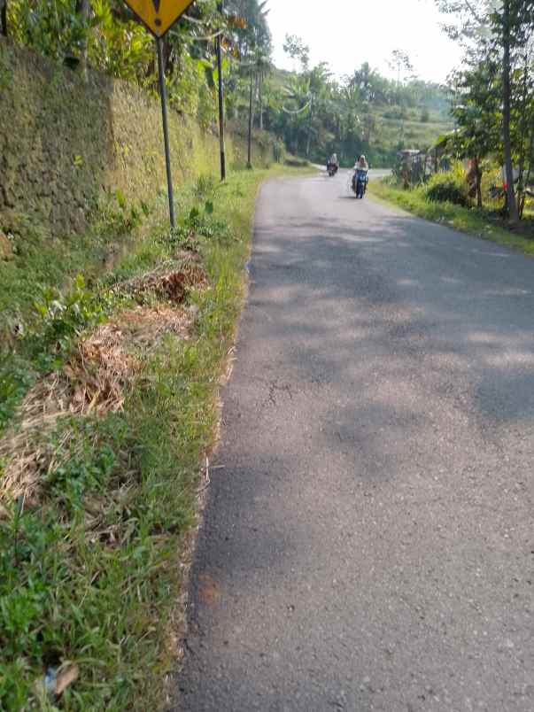 dijual tanah kebun produktif pinggir jalan raya