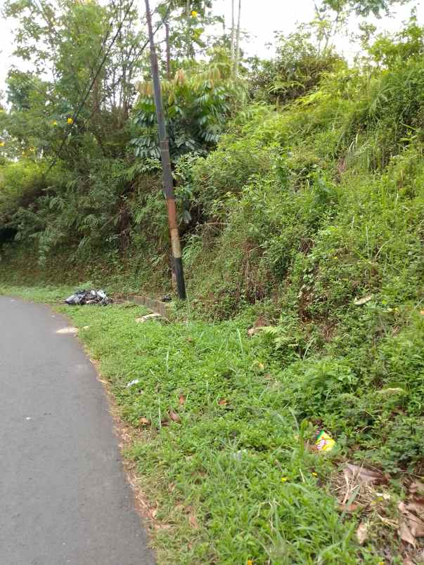 dijual tanah kebun produktif pinggir jalan raya
