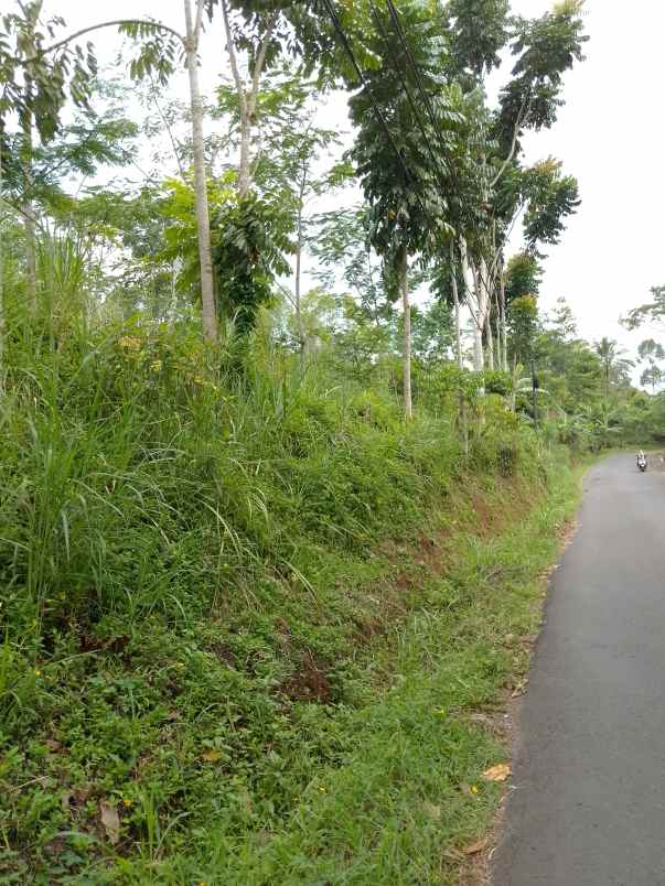 dijual tanah kebun produktif pinggir jalan raya