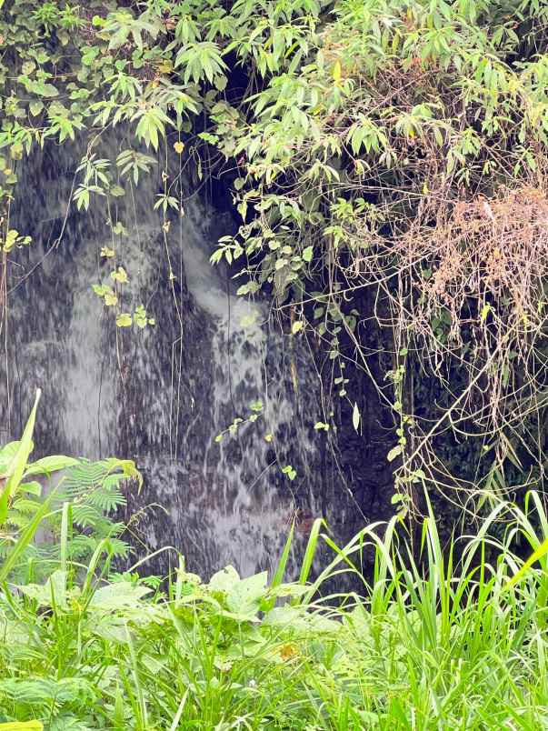 dijual tanah kemuning ngargoyoso