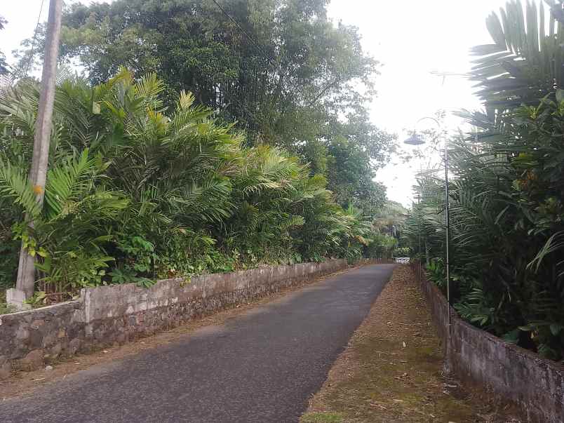 dijual tanah klegung donokerto turi