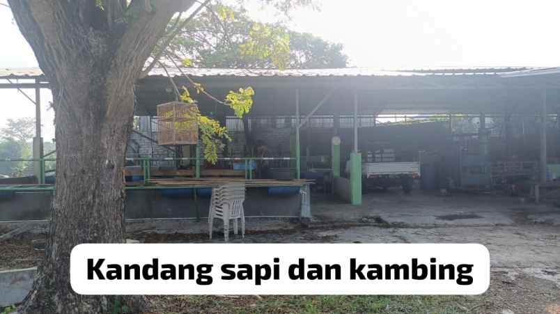 dijual tanah kp buwek raya rt 002 rw