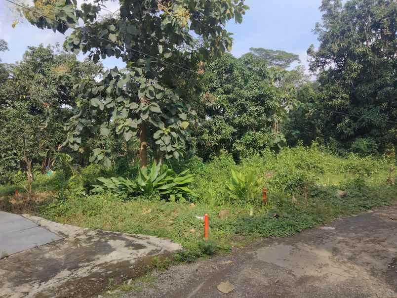 dijual tanah kubang kec talun kab cirebon
