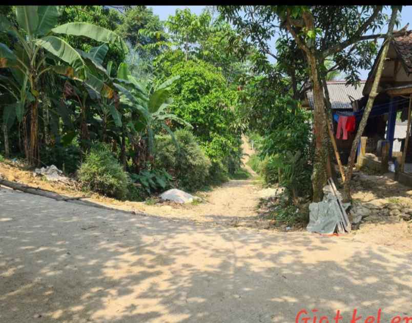 dijual tanah leuwi karet kelapa nunggal