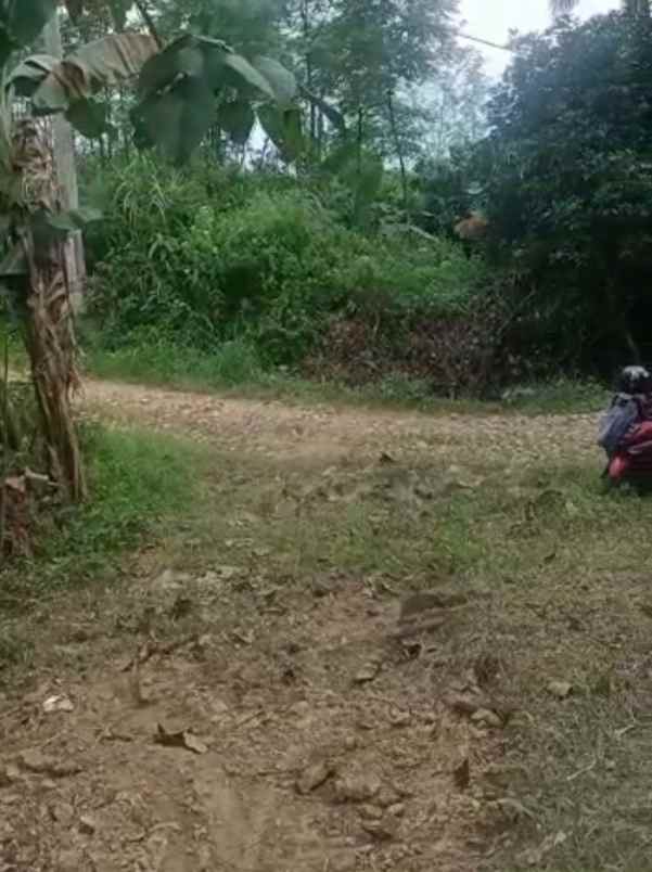 dijual tanah leuwi karet kelapa nunggal