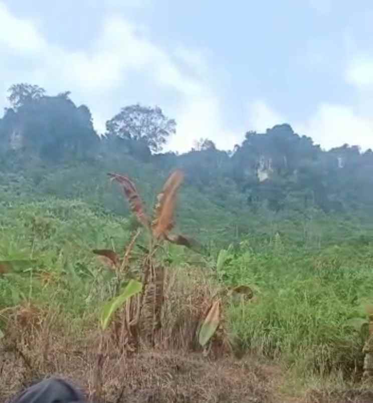 dijual tanah leuwi karet kelapa nunggal