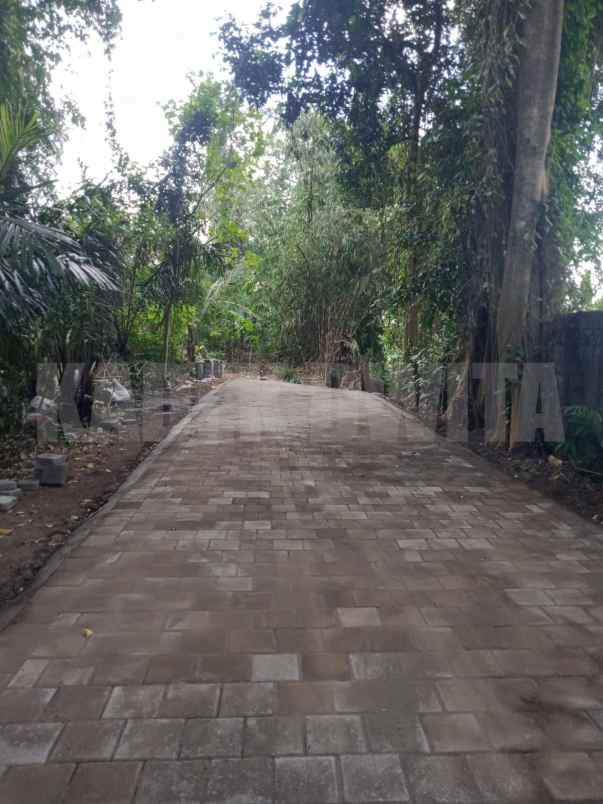 dijual tanah lodtunduh