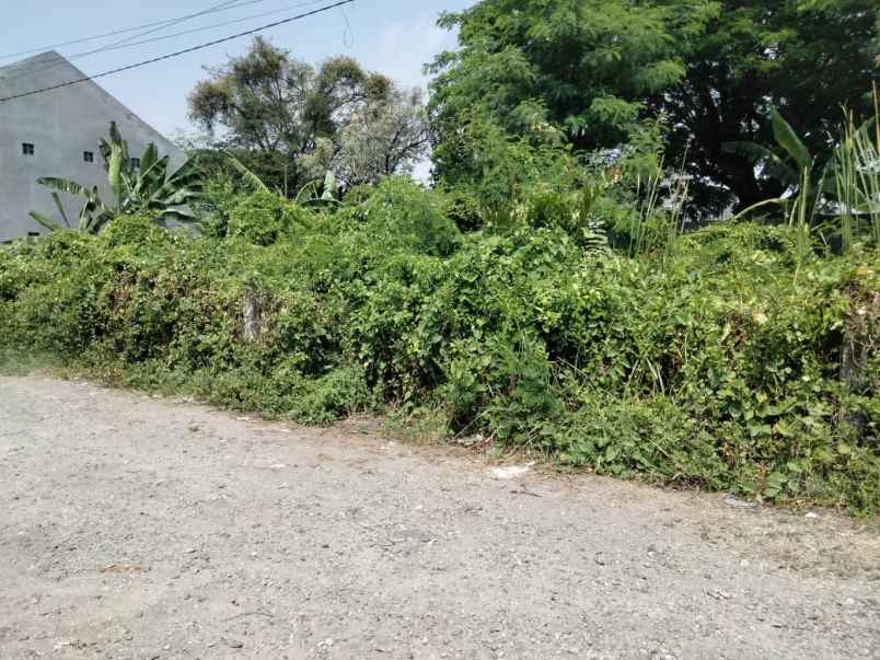 dijual tanah medokan sawah timur