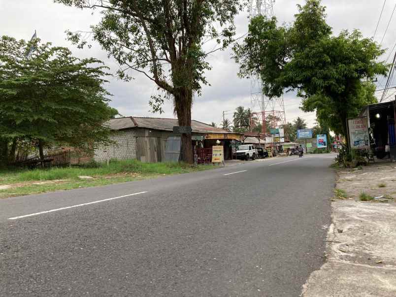 dijual tanah murah mangku asapl jalan kabupaten