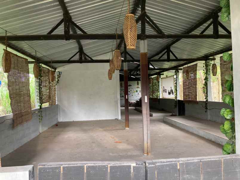 dijual tanah murah mangku asapl jalan kabupaten