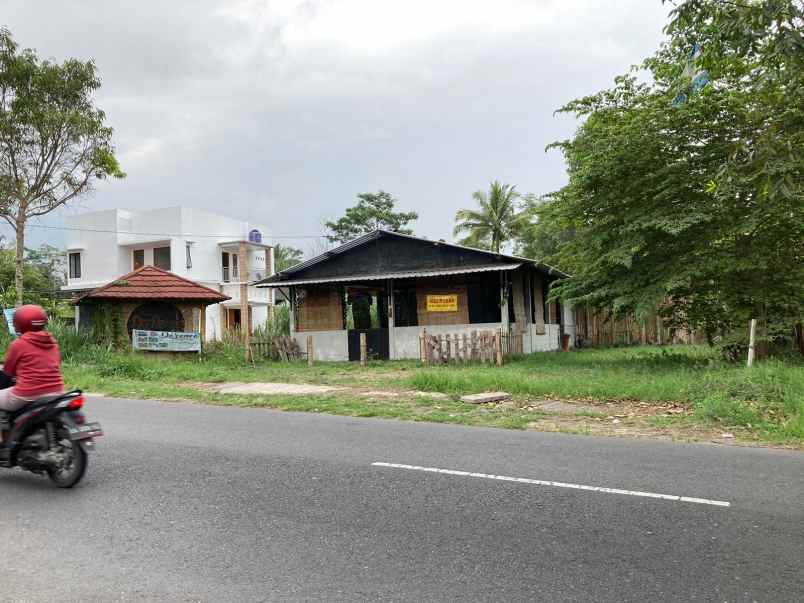 dijual tanah murah mangku asapl jalan kabupaten