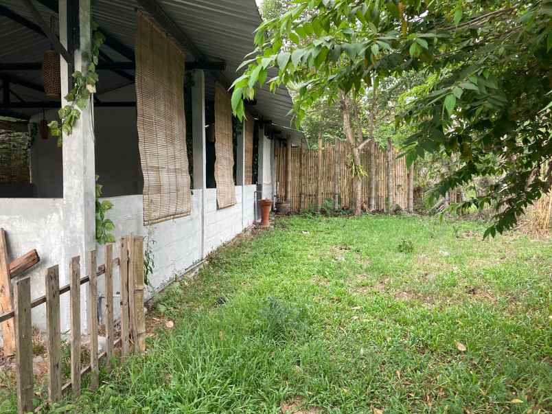 dijual tanah murah mangku asapl jalan kabupaten