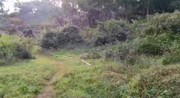 dijual tanah murah tanah kebun akses jalan mobil
