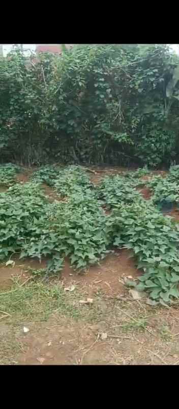 dijual tanah nirwana estate