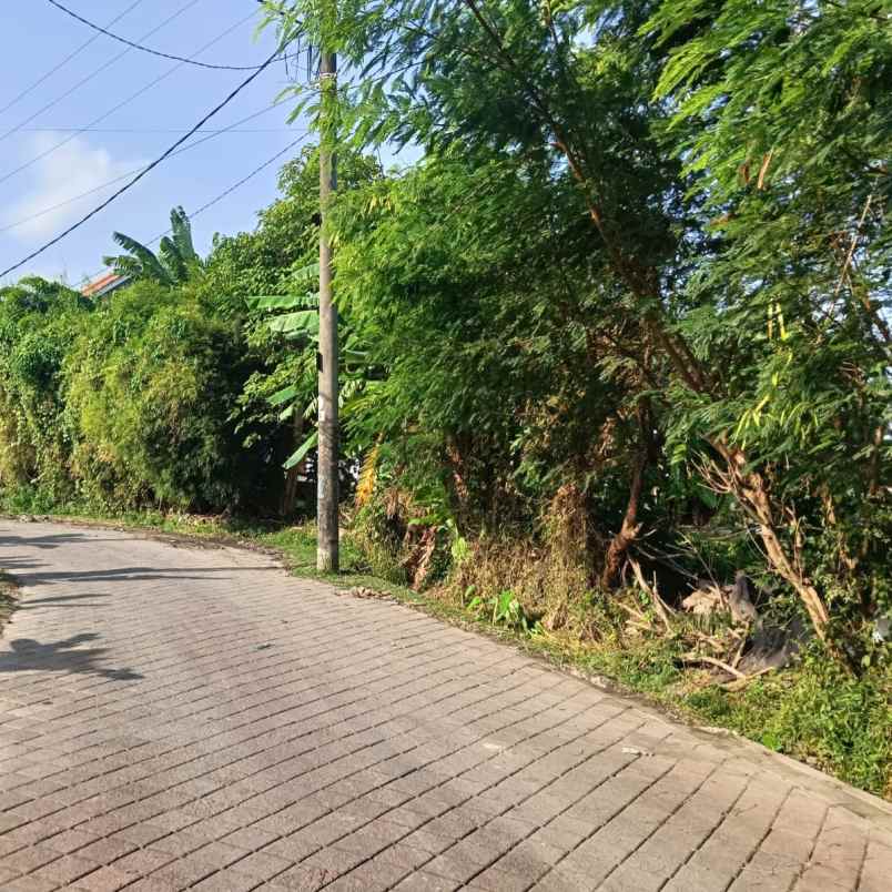 dijual tanah raya sempol