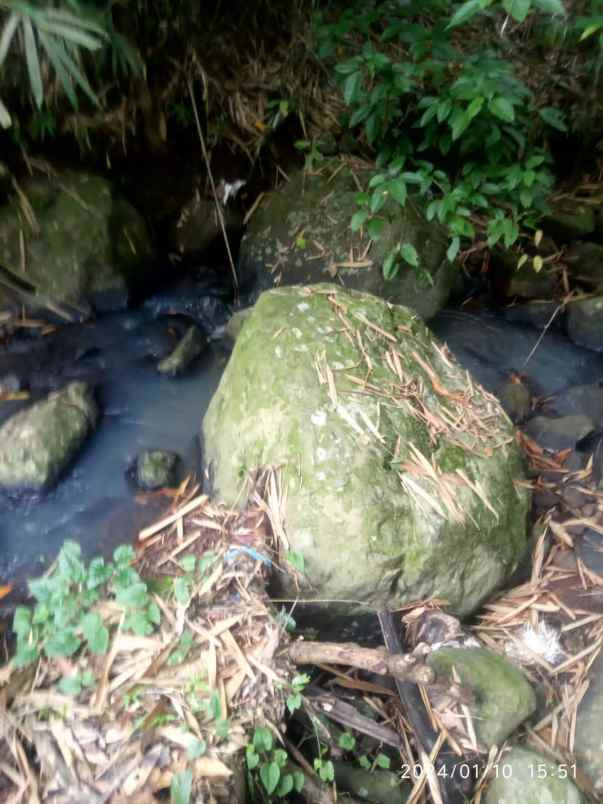 dijual tanah selemadeg tabanan bali