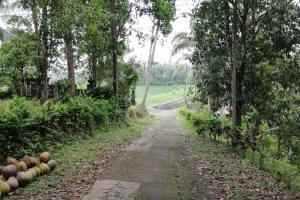 dijual tanah selemadeg tabanan bali