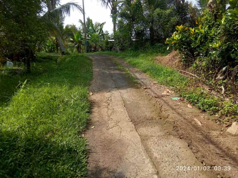 dijual tanah selemadeg tabanan bali