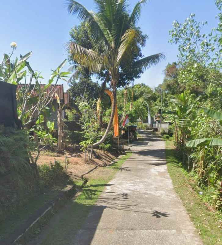 dijual tanah selemadeg timur tabanan bali