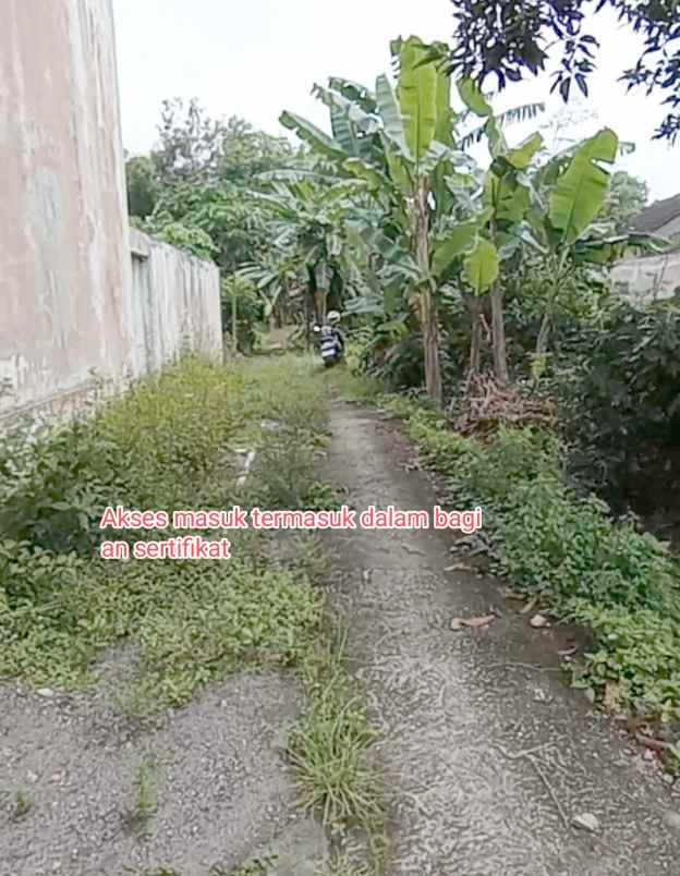 dijual tanah sembego